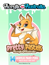 Load image into Gallery viewer, Pretty Pastels - 14 Acrylic Paint Markers